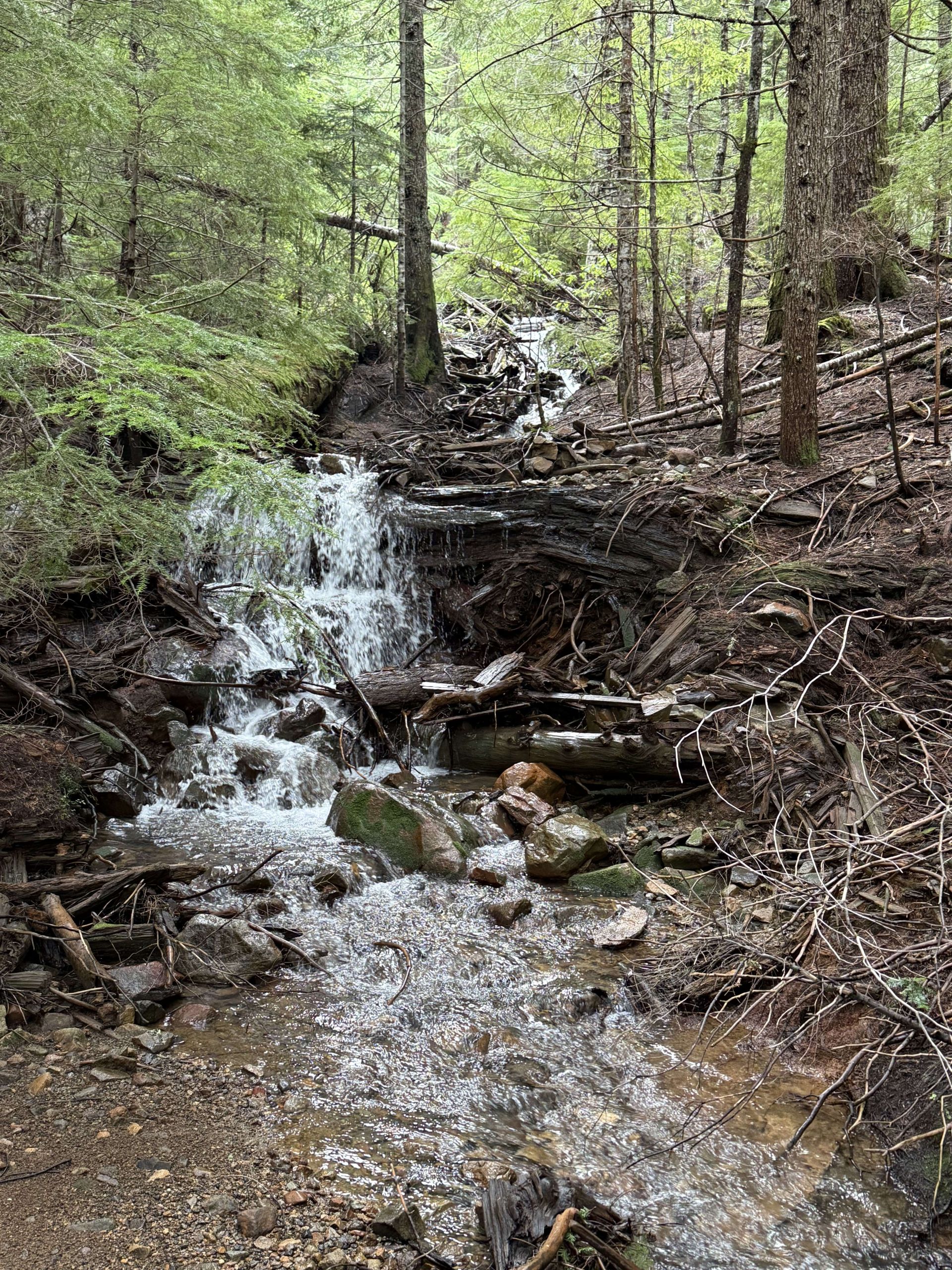 Champion Creek.