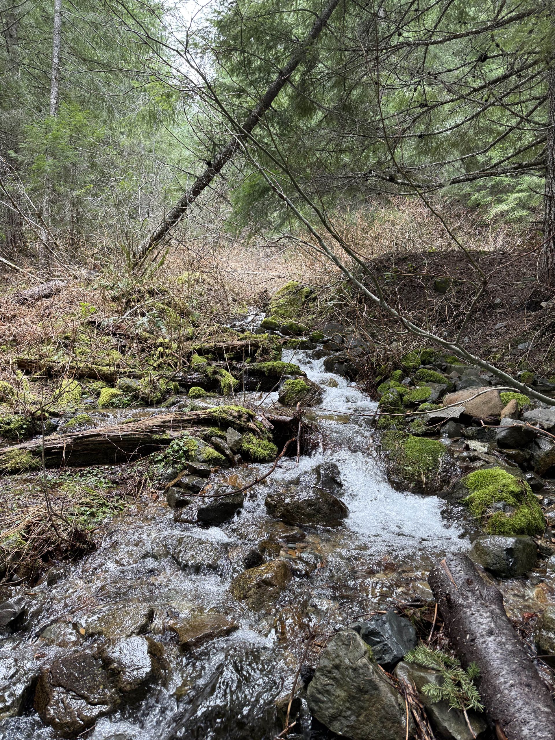 Day Creek