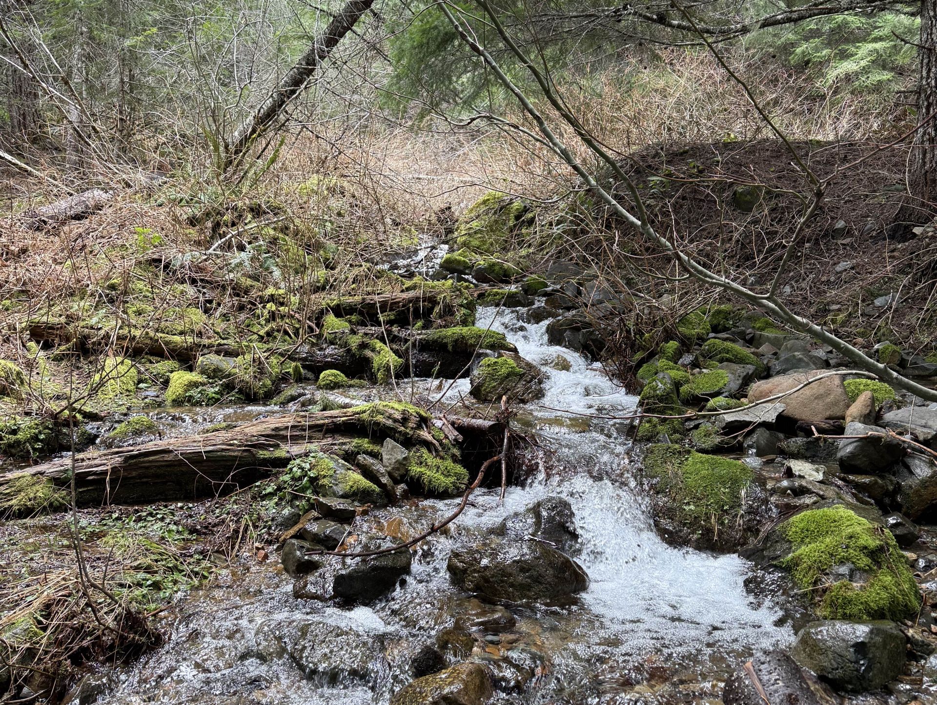 Day Creek