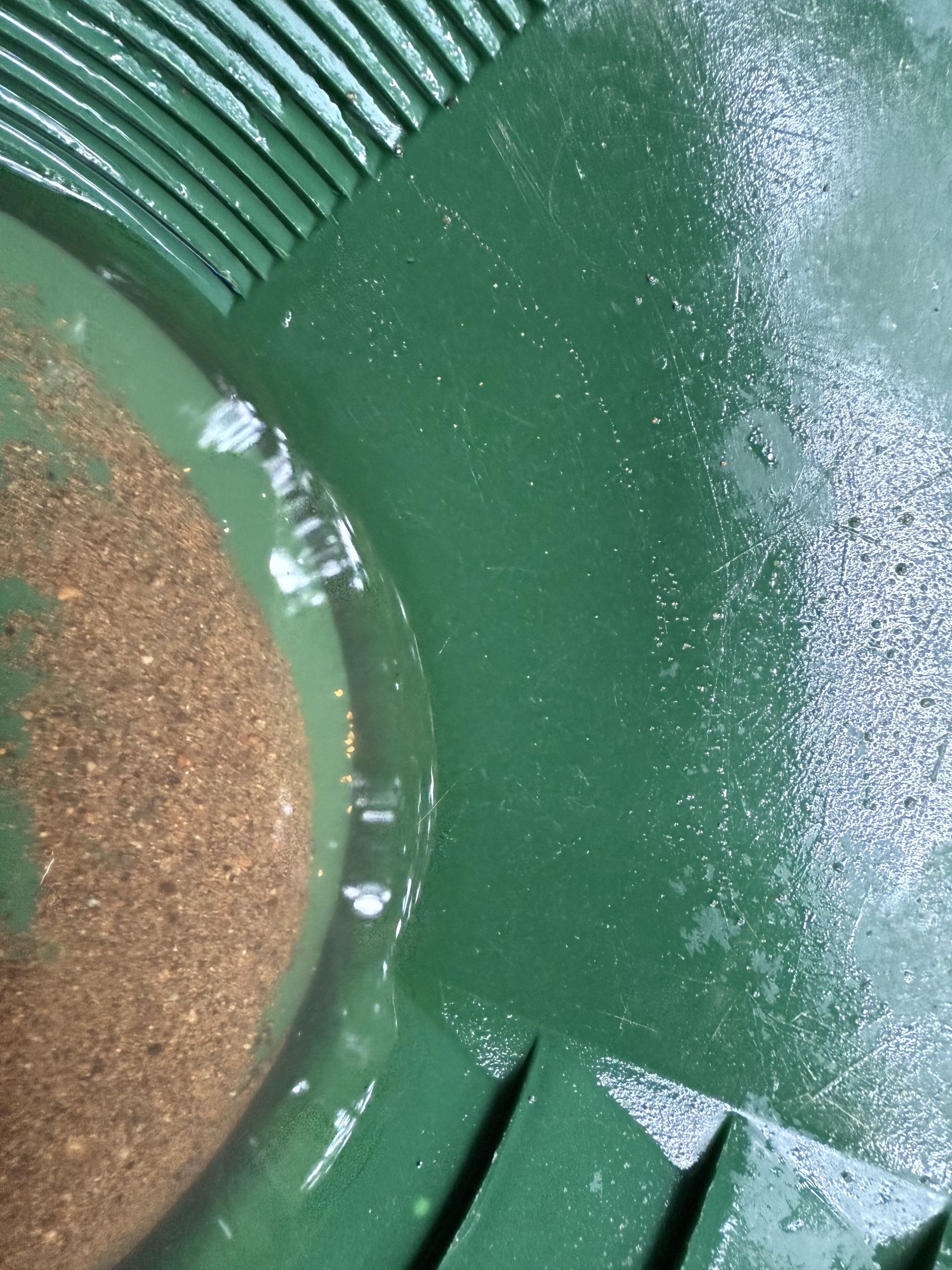 Panning gold.