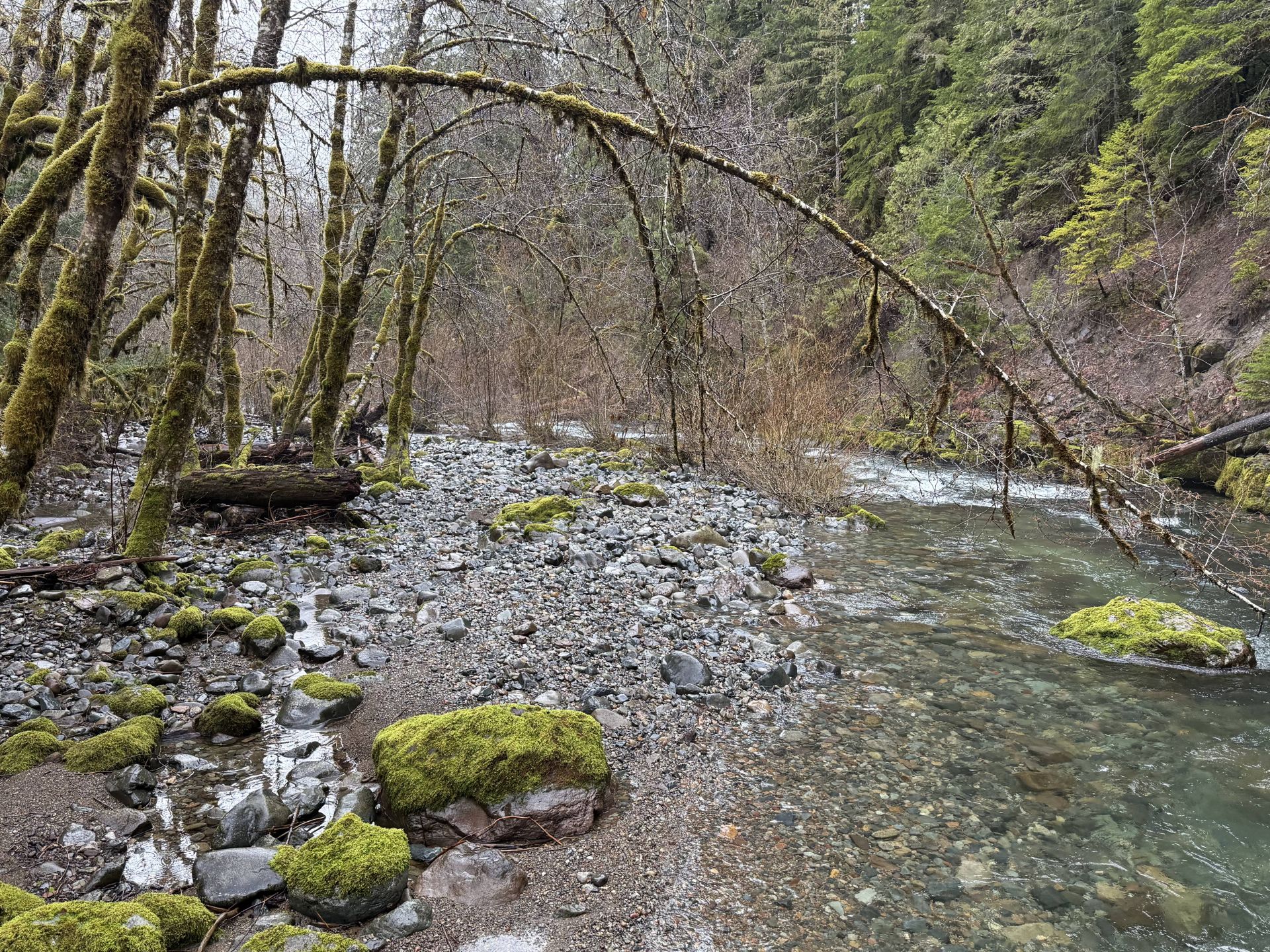 Creek near campsite.
