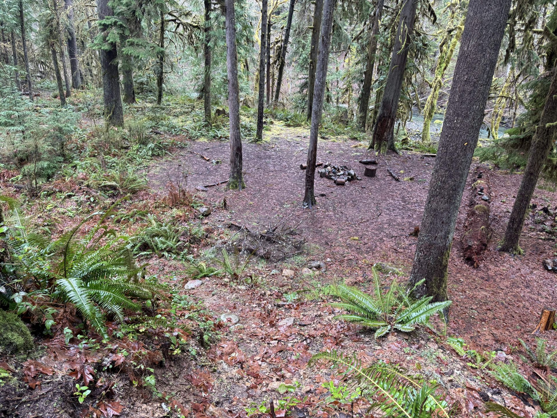 Campsite from trail.