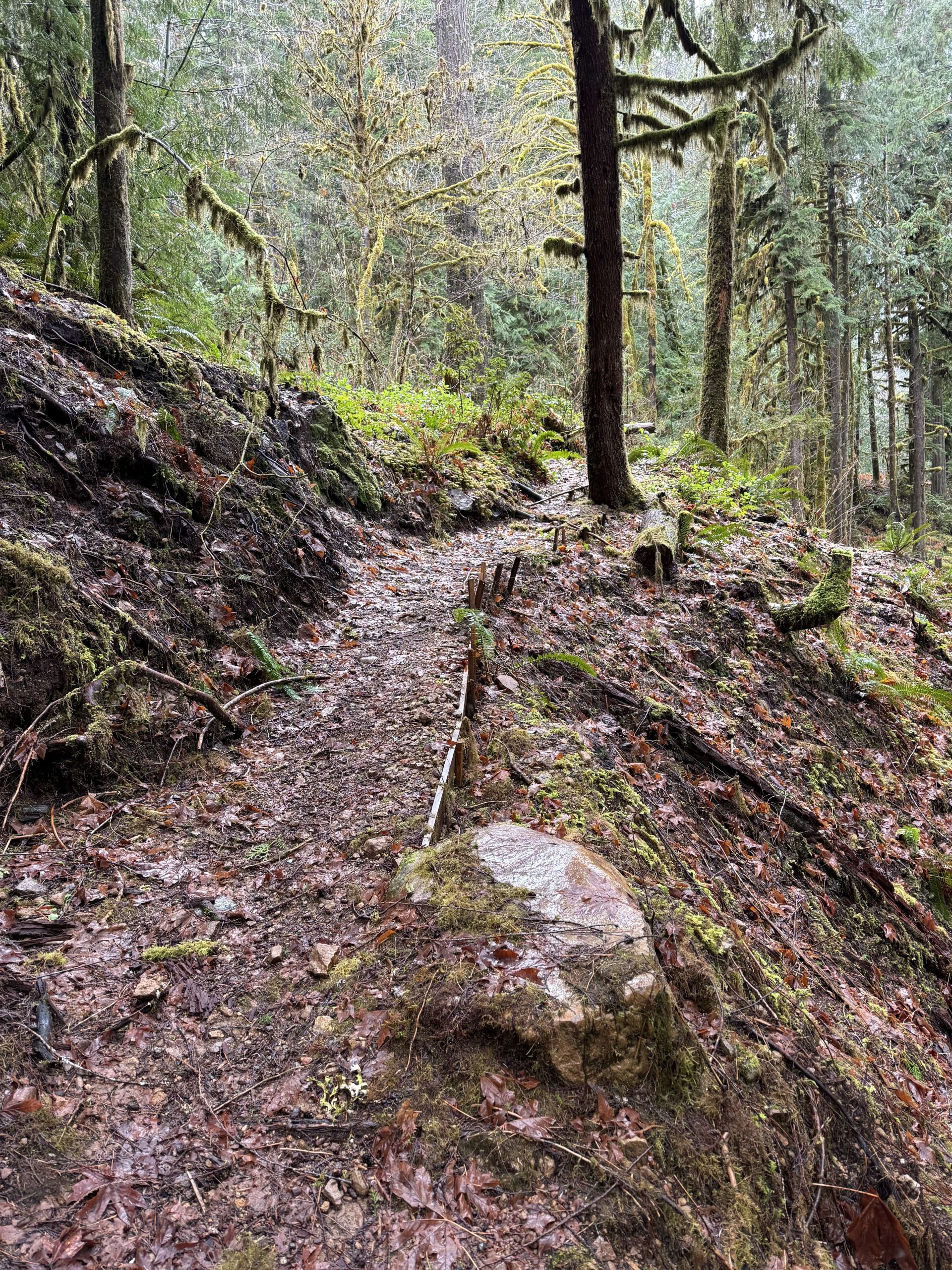 Foot trail from camp to road.