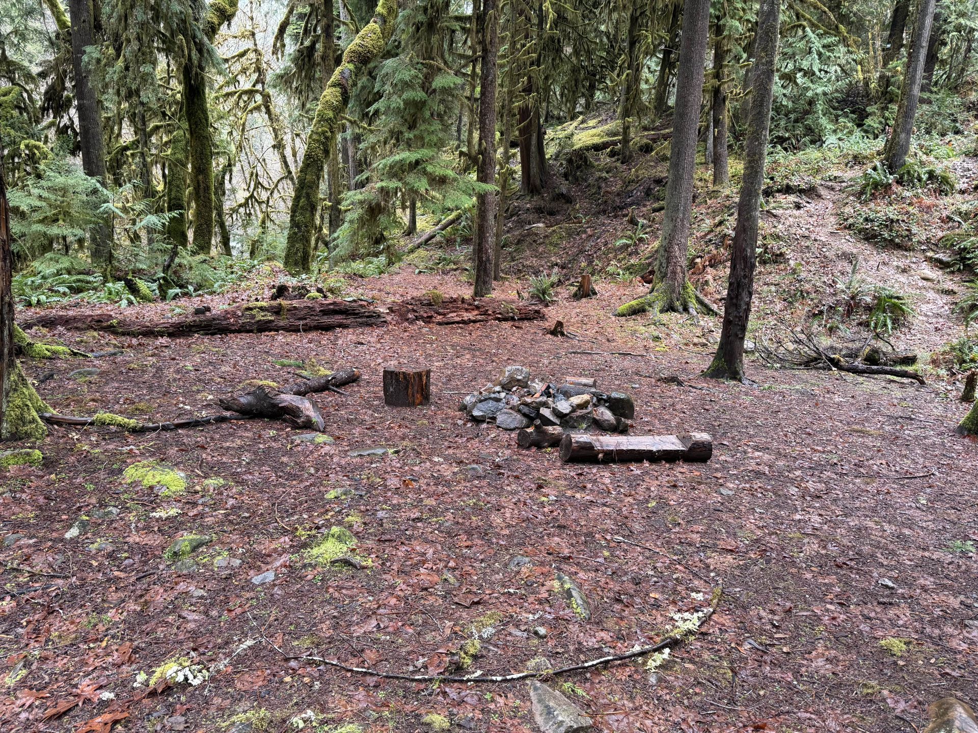 Camping area.