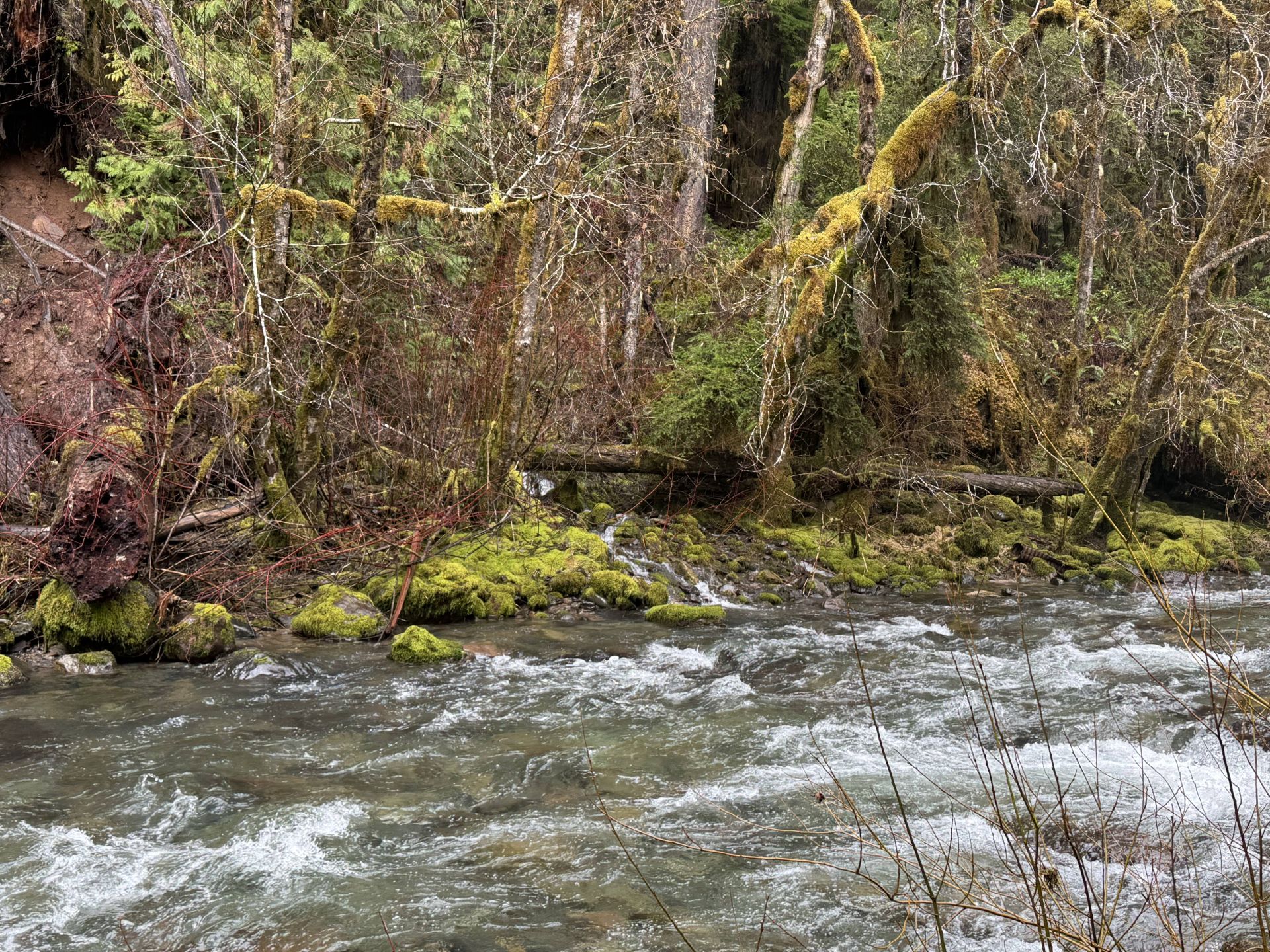 Seasonal side creek near campsite.