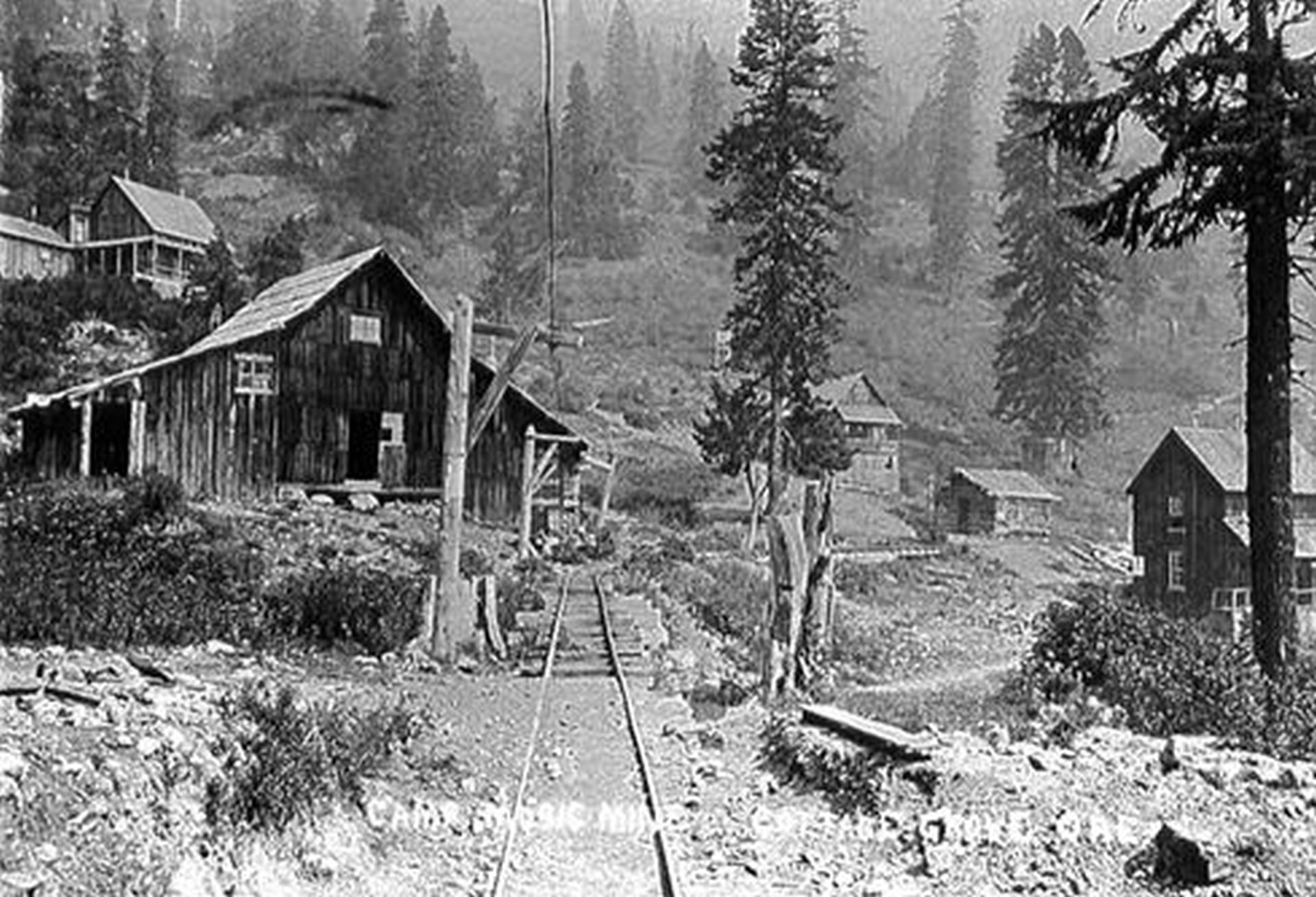 Musick Mine, Bohemia District